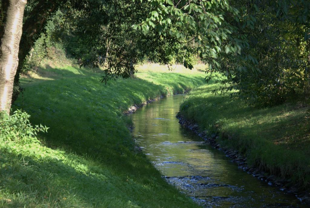 Land-Hotel Zum Schwan, Garni Weilerswist-Metternich, 3 E-Ladestationen, Naehe Phantasialand, Palmenparadies Euskirchen المظهر الخارجي الصورة