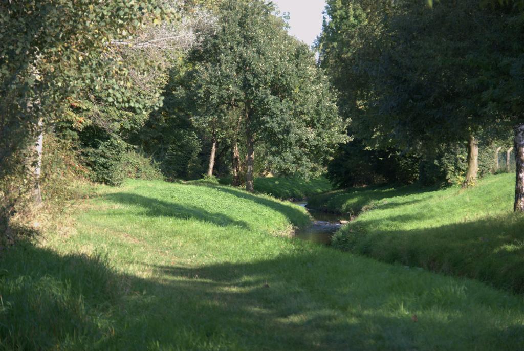 Land-Hotel Zum Schwan, Garni Weilerswist-Metternich, 3 E-Ladestationen, Naehe Phantasialand, Palmenparadies Euskirchen المظهر الخارجي الصورة
